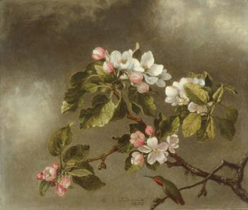 馬丁 約翰遜 赫德 Hummingbird And Apple Blossoms